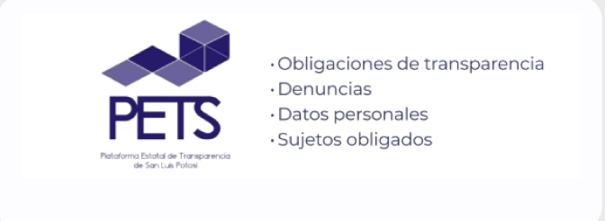 Sección 6